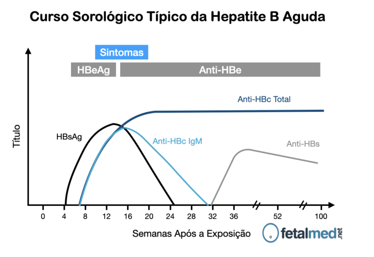 O Que é O Exame Hbsag Fetalmed Medicina Fetal Em Curitiba 