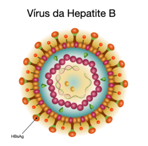 O Que é O Exame HBsAg? | Fetalmed - Medicina Fetal Em Curitiba